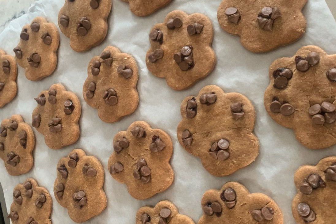 Carob-Dipped Originals